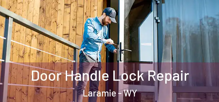 Door Handle Lock Repair Laramie - WY