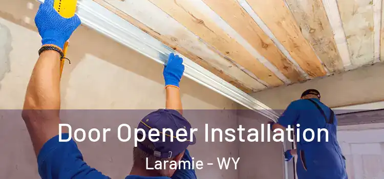 Door Opener Installation Laramie - WY