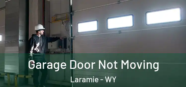  Garage Door Not Moving Laramie - WY