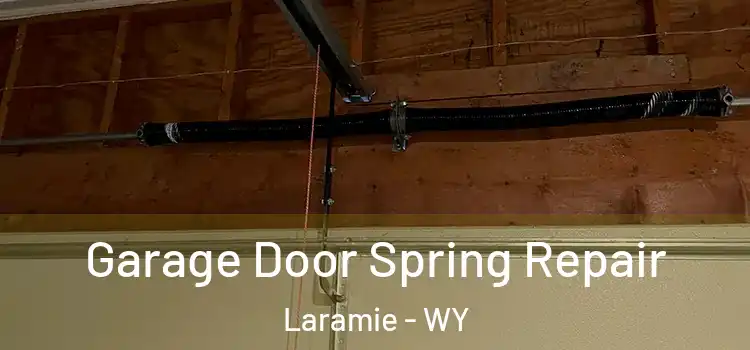  Garage Door Spring Repair Laramie - WY
