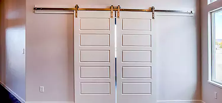 Glass Barn Door with Installation Hardware Kit Laramie