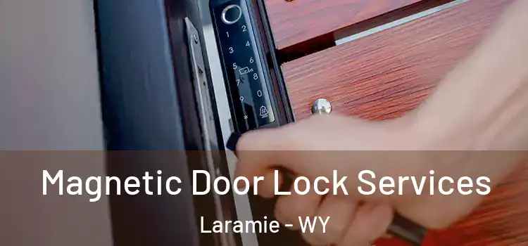 Magnetic Door Lock Services Laramie - WY