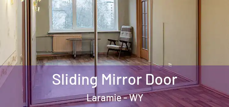  Sliding Mirror Door Laramie - WY